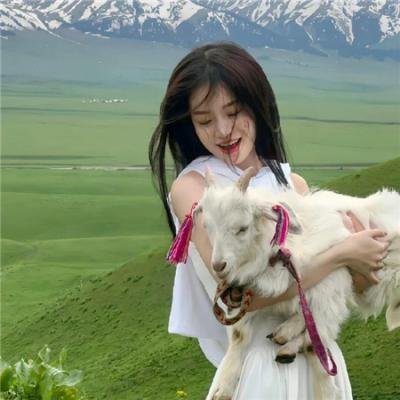 全世界的国王